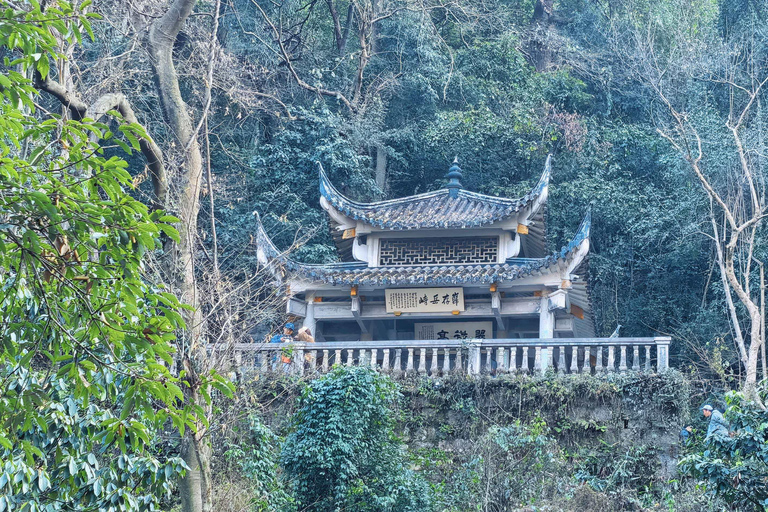 Hangzhou: Private Car Tour to Temple, Tea Village & Canal