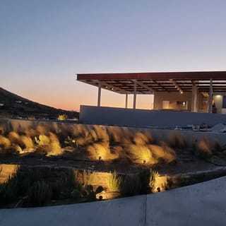 Tinos: Winery Tour and Wine Tasting Paired with Snacks