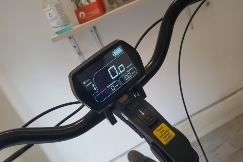 Roma: servicio de alquiler de bicicletas eléctricasAlquiler de bicicletas eléctricas las 24 horas