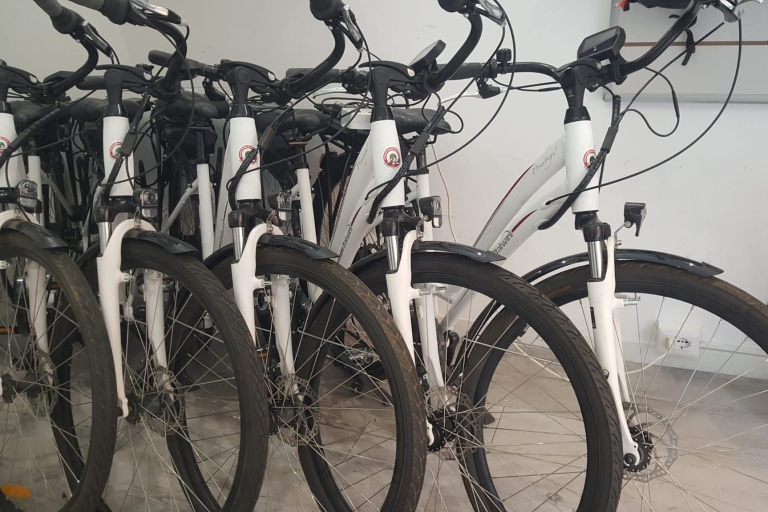 Rome: Electric Bike Rental Service E-bike Rental from 9:00-7:00