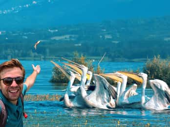 From Thessaloniki: Private Day Trip to Kerkini Lake