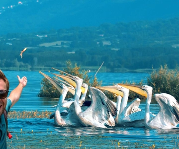 From Thessaloniki: Private Day Trip to Kerkini Lake