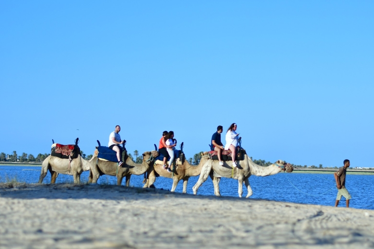 Djerba: visite d'une caravane combinée cheval et chameau