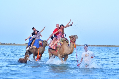 Djerba: visite d'une caravane combinée cheval et chameau