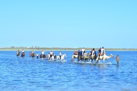 Djerba: wycieczka konna i wielbłądowa karawana