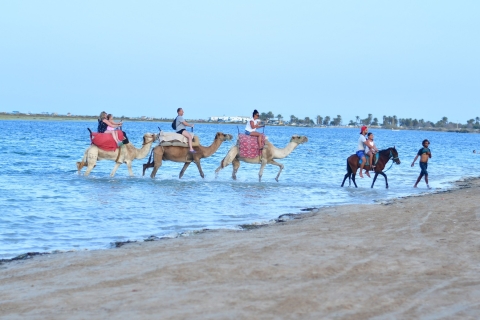 Djerba: combinatie van paard en kameel caravantour