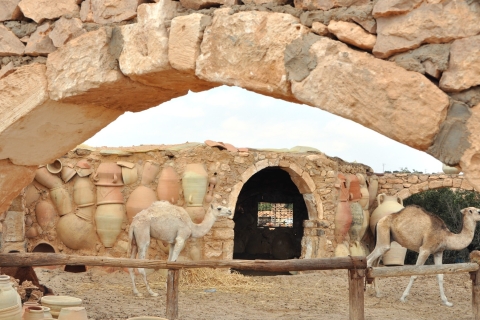 Djerba : visite de l'île d'une demi-journée