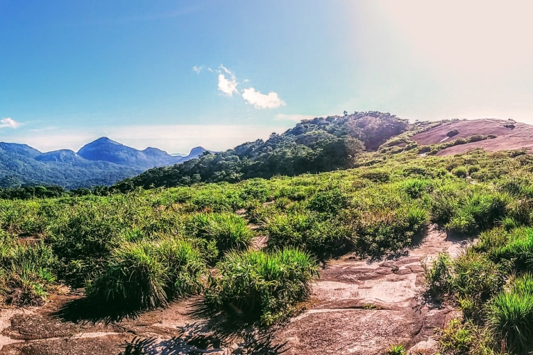 Parque Nacional de Tijuca: ruta grupo reducido Pedra BonitaParque Nacional de Tijuca: 5h a Pedra Bonita grupo reducido