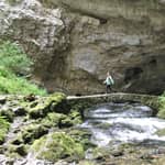 Lubiana: Grotte di Škocjan, Lipica e Castello di Predjama