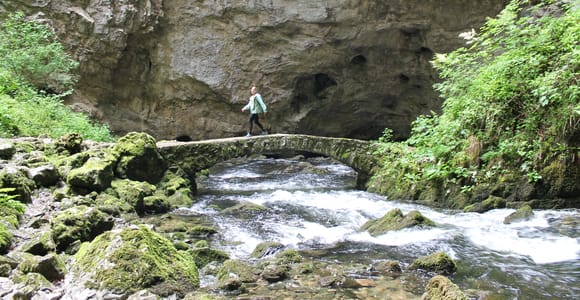 Ljubljana: Škocjan Caves, Lipica & Predjama castle