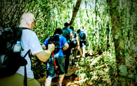 Tijuca National Park Small-Group Hike to Pedra Bonita - Housity