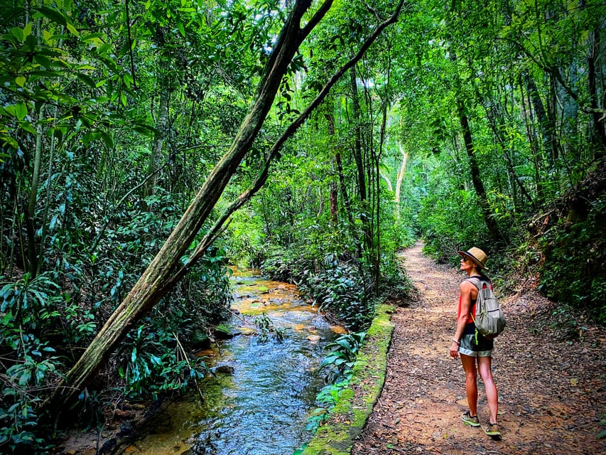 Caminhada na Natureza – Circuito Rio da Onça