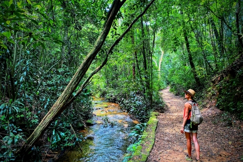 Bosque de Tijuca: caminata de medio día de aventura e historiaMedio día en el bosque de Tijuca: aventura e historia (grupo pequeño)