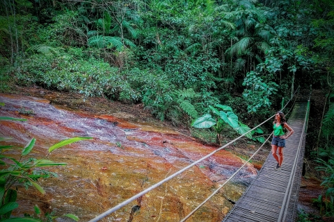 Bosque de Tijuca: caminata de medio día de aventura e historiaCaminata de medio día por el bosque de Tijuca: aventura e historia (privado)