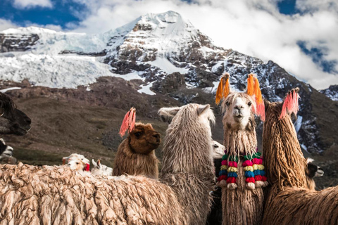 De Cusco: Pernoite em Machu Picchu e Viagem ao Vale Sagrado