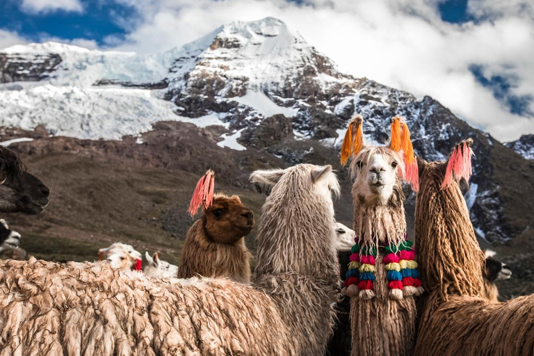 De Cusco: Pernoite em Machu Picchu e Viagem ao Vale Sagrado