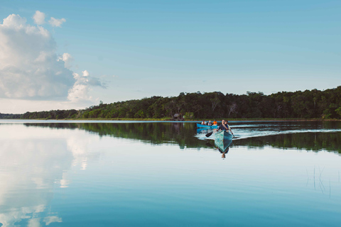 From Riviera Maya: Coba, Punta Laguna and Cenote Day Trip From Tulum: Coba, Punta Laguna and Cenote Day Trip