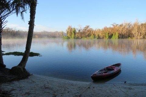 Orlando: excursion en kayak à la découverte des lamantins avec déjeuner