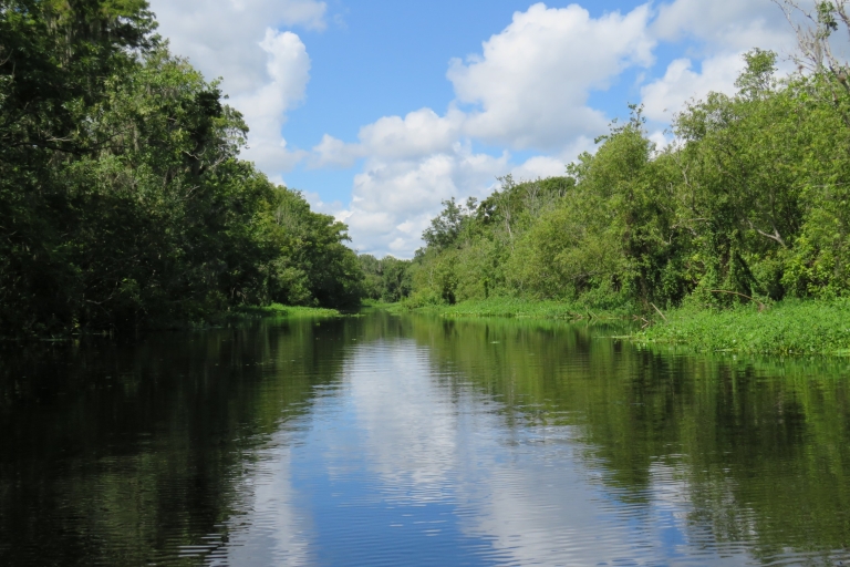 Orlando: Manatee Discovery Kayak Tour met lunch