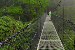 Trekking | Mistico Arenal Hanging Bridges Park things to do in Nuevo Arenal