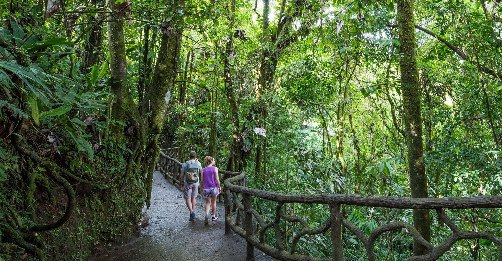 La Fortuna, Místico Arenal Hanging Bridges Admission Ticket - Housity