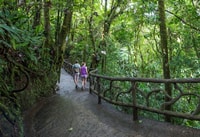 Fortune, Mystical Arenal suspendu les ponts d'admission - Housity