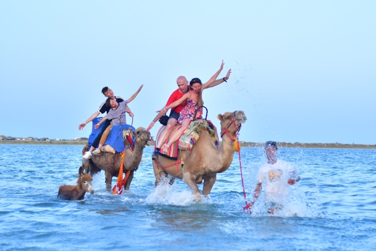 Djerba: tour en camello por la isla