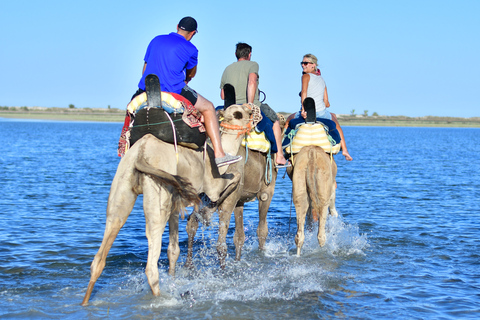 Djerba: giro guidato in cammello con visita alla Laguna BluDjerba: giro dell&#039;isola in cammello