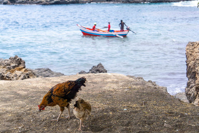 Shore Excursion: 3-Hour Praia & Cidade Velha Historic Tour Shared Group Tour