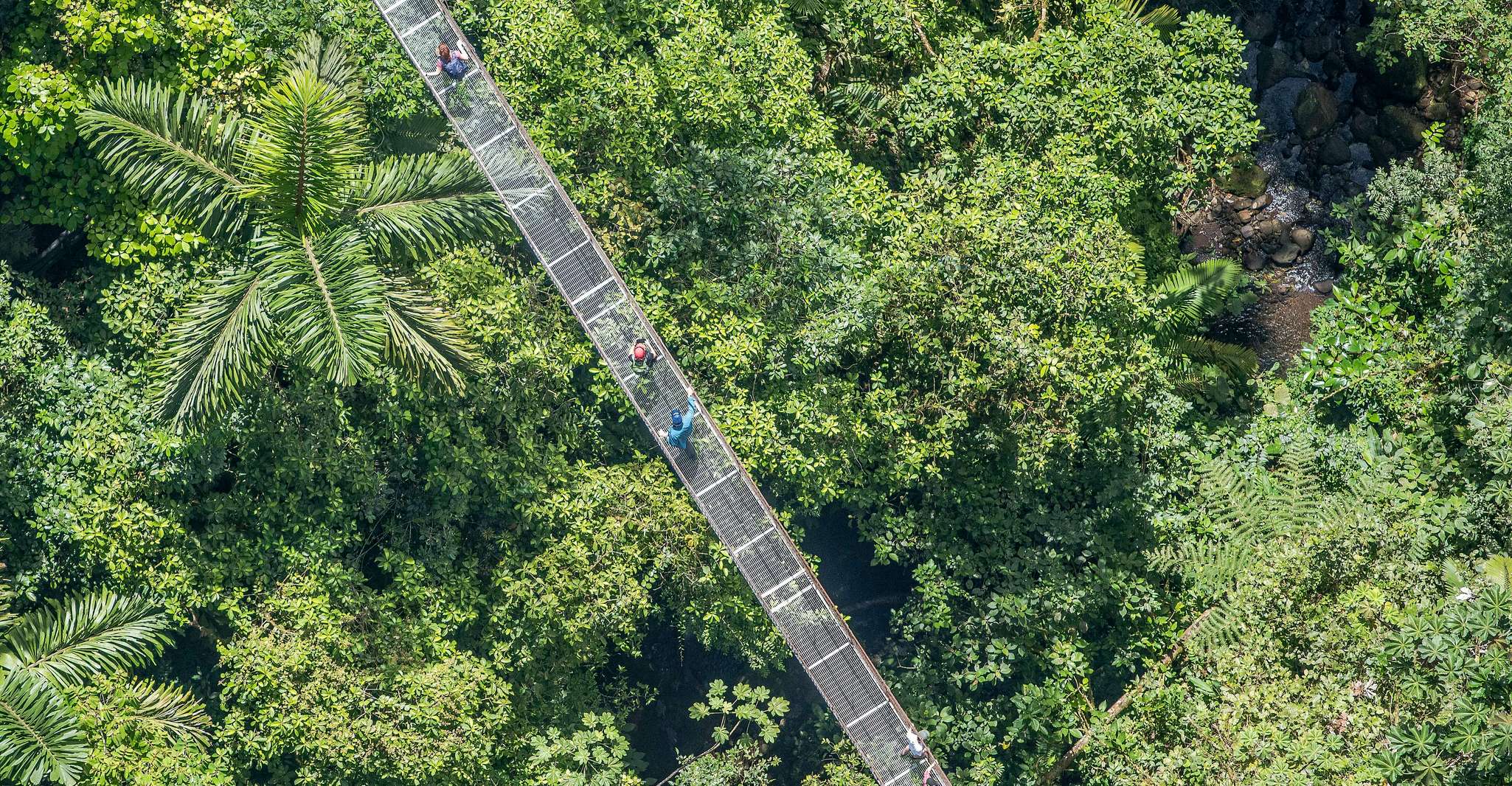 La Fortuna, Místico Arenal Hanging Bridges Admission Ticket - Housity