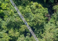 Fortune, Mystical Arenal suspendu les ponts d'admission - Housity