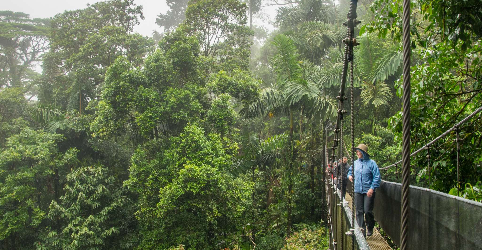 La Fortuna, Místico Arenal Hanging Bridges Admission Ticket - Housity