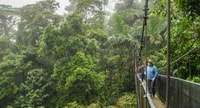 Fortune, Mystical Arenal suspendu les ponts d'admission - Housity