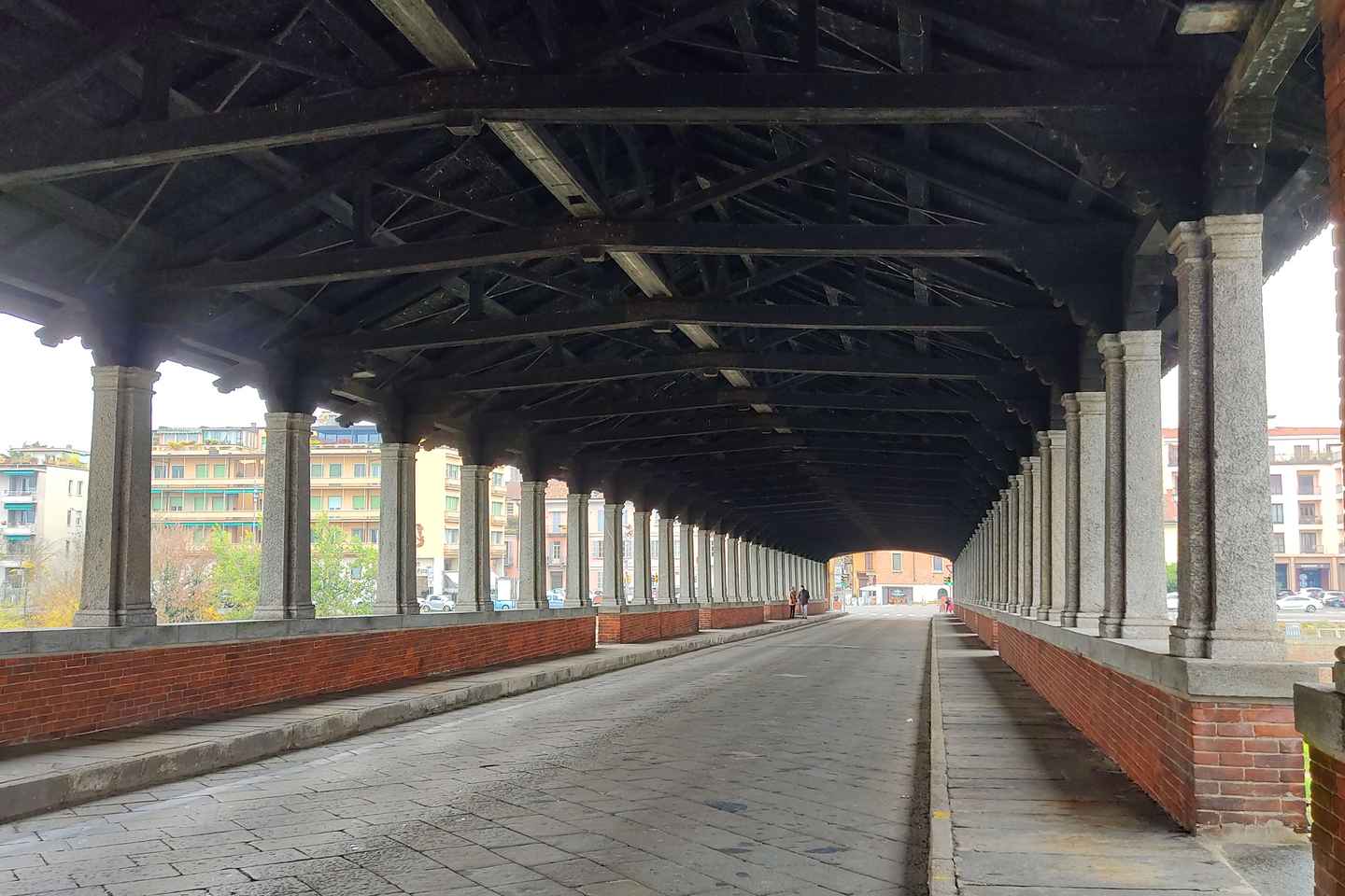 Pavia private guide: hundred towers on the Ticino river