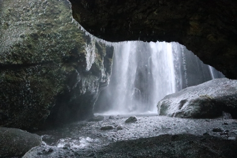 Depuis Reykjavik : explorez les cascades de la côte sud