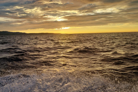 Puerto Escondido: The Best Dolphin Watching Adventure PUERTO ESCONDIDO BEST DOLPHIN WATCHING ADVENTURE