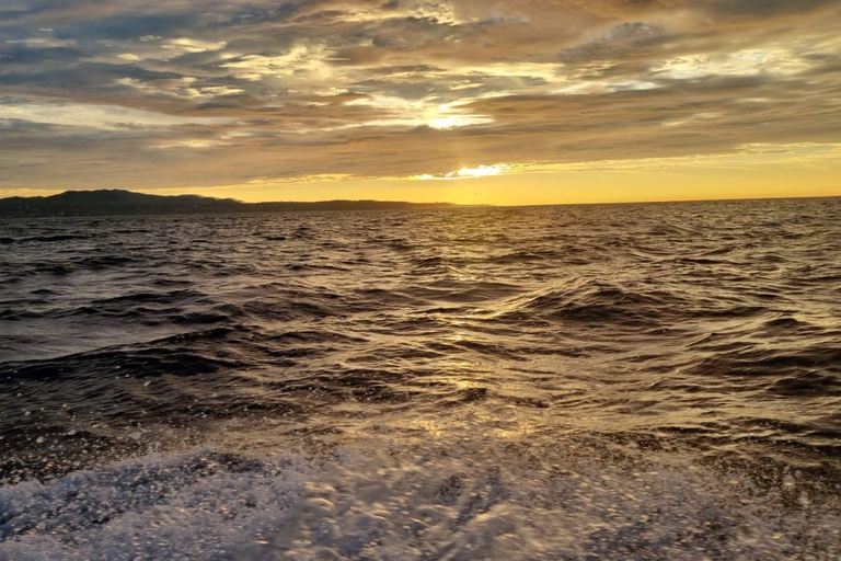 Puerto Escondido: The Best Dolphin Watching Adventure PUERTO ESCONDIDO BEST DOLPHIN WATCHING ADVENTURE