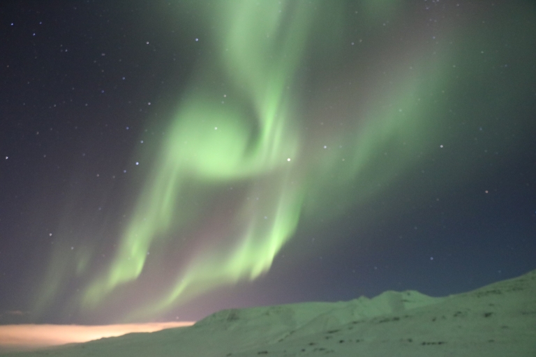 Akureyri: A la caza de la aurora borealTour de la aurora boreal con punto de encuentro en el hotel Kea