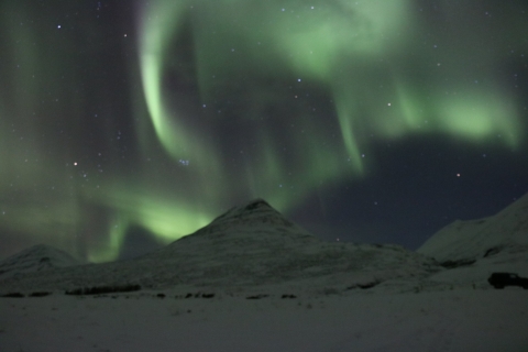 Akureyri: A la caza de la aurora borealTour de la aurora boreal con recogida en hoteles seleccionados