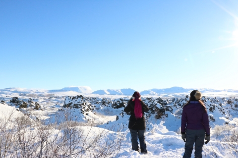 Akureyri: jednodniowa wycieczka do Goðafoss, jeziora Mývatn i naturalnych kąpielisk