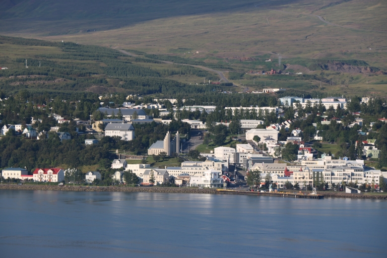 Akureyri: excursión de un día a Goðafoss, lago Mývatn y baños naturales