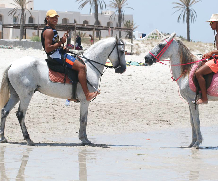 Djerba: Guided Horseback Riding Tour