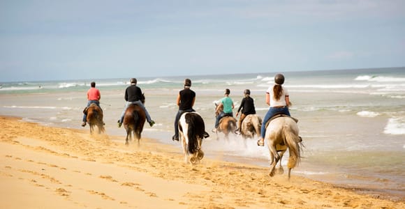 Djerba: Guided Horseback Riding Tour