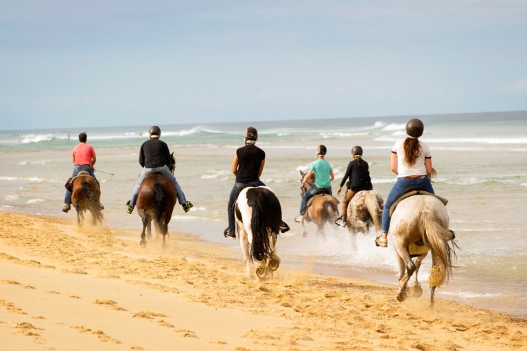 Djerba: begeleide paardrijtocht