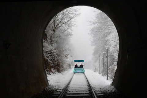 Seoul: Eobi Ice Valley &amp; Nami Island &amp; Railbike (opt.Garden)Shared Tour with Garden - Meet at Myeongdong Station