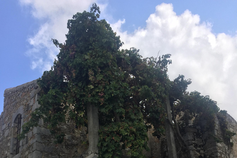 Au départ d'Héraklion : Visite de la grotte de Zeus, des vieux villages et des moulins à vent