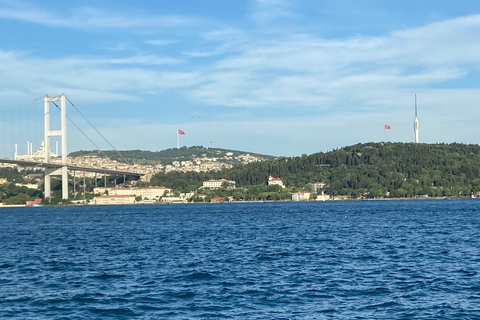 Istanbul: visite de la vieille ville et croisière sur le Bosphore