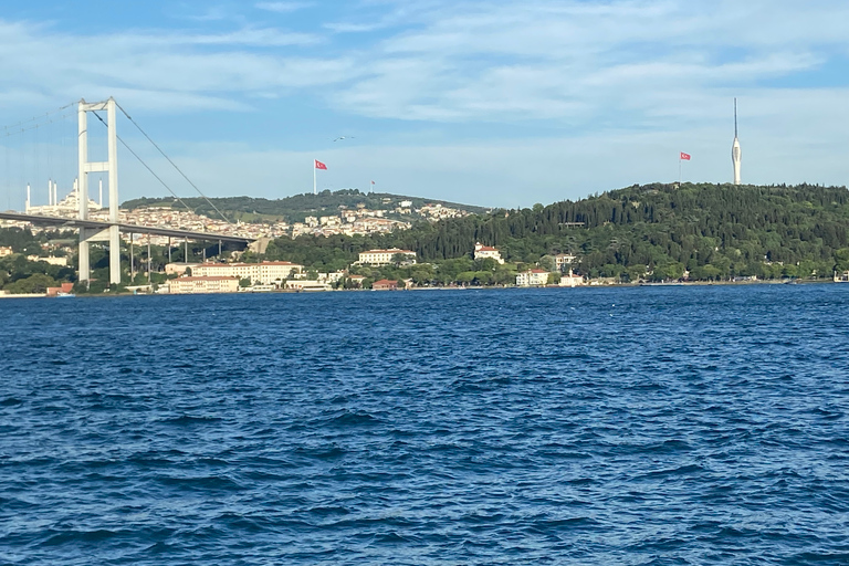 Istanbul: Tour della città vecchia e crociera sul BosforoIstanbul: tour della città vecchia e crociera sul Bosforo