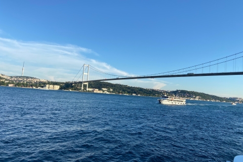 Istanbul: visite de la vieille ville et croisière sur le Bosphore