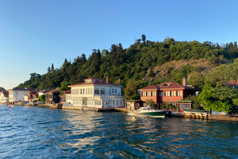 Istanbul: Old Town Highlights Tour &amp; Bosphorus Cruise